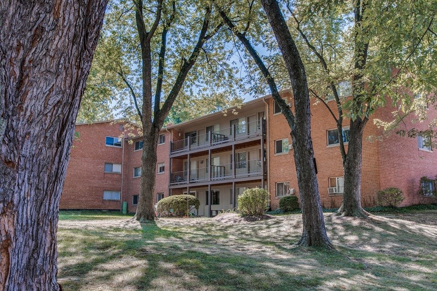 our apartments offer a spacious courtyard with trees