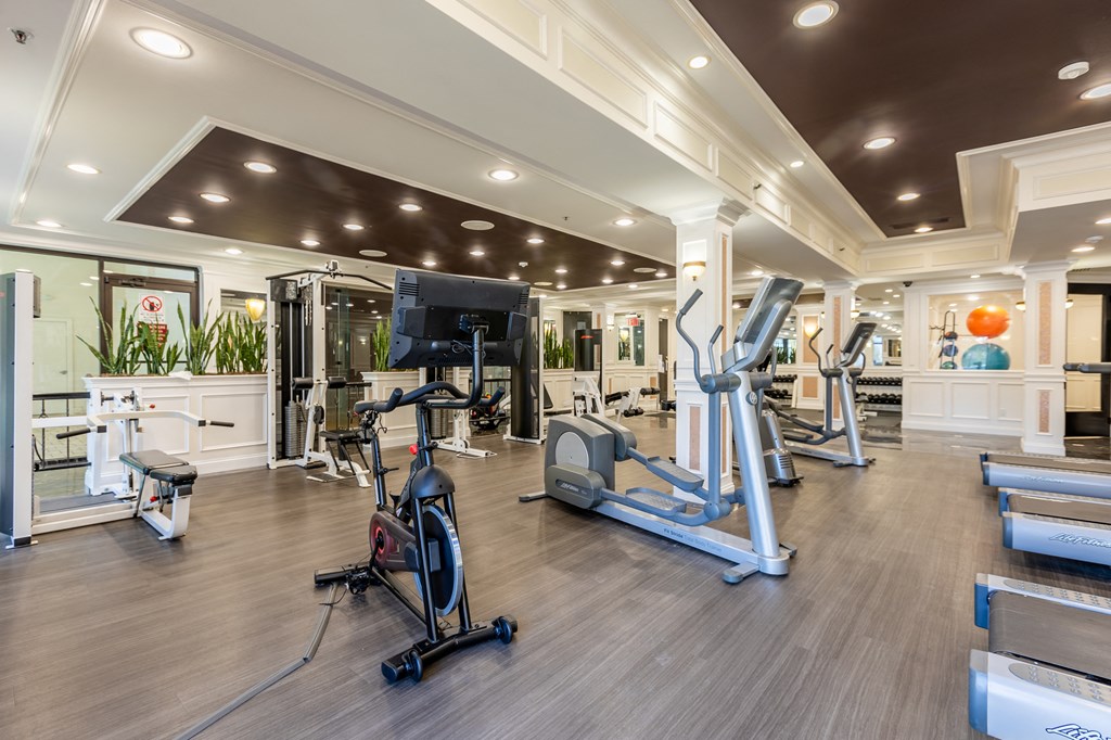 a gym with treadmills and other exercise equipment in aria on the bay