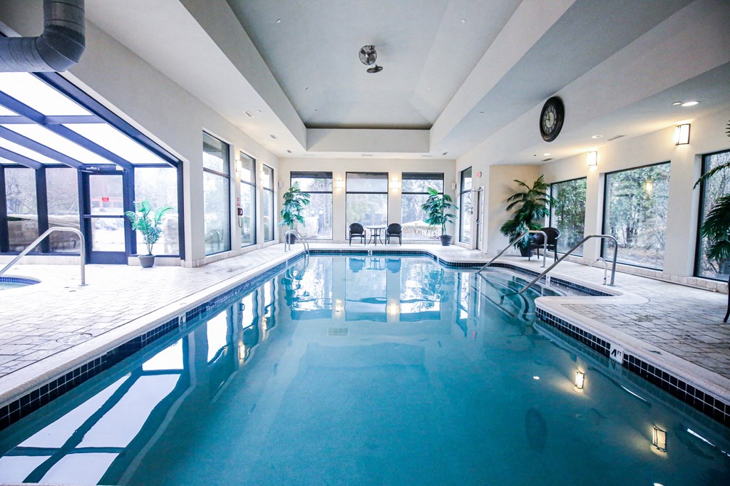 the indoor swimming pool at the resort at paws up