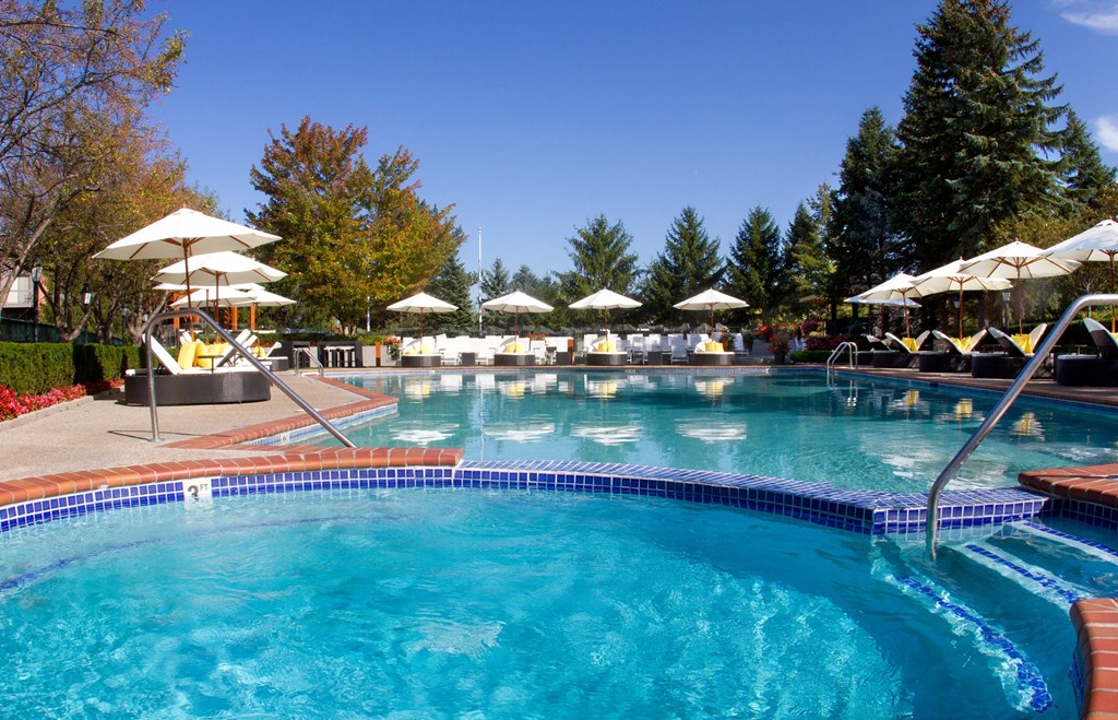 the swimming pool at the resort at paws up