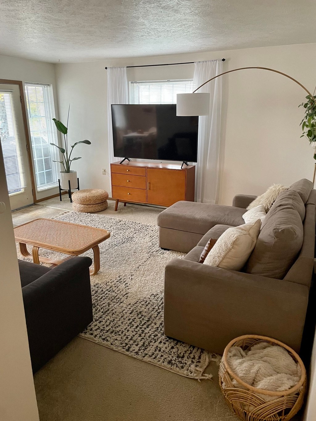 A living room with a couch, a coffee table, a TV, and a plant.