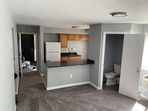 a kitchen with a counter and a toilet in a room