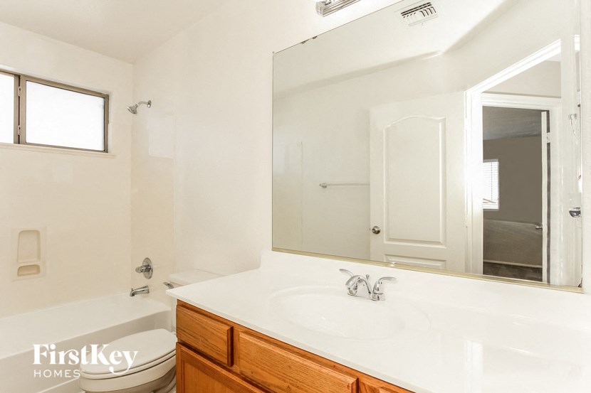 a bathroom with a sink and a mirror and a toilet