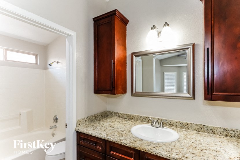 a bathroom with a sink and a mirror and a shower