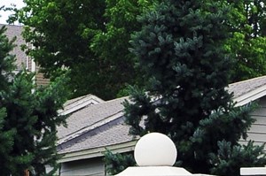 Rent Cheap Apartments In Johnson County From 724 Rentcaf 233