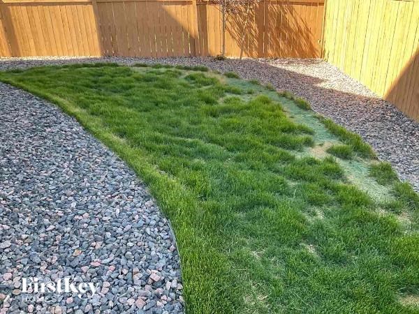 a yard with grass and gravel and a wooden fence