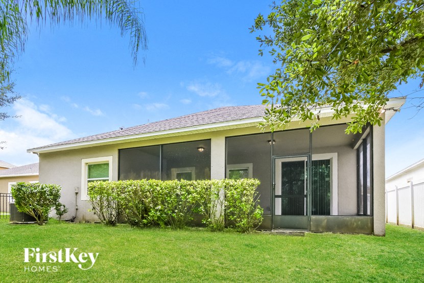 a house with a lawn and a tree