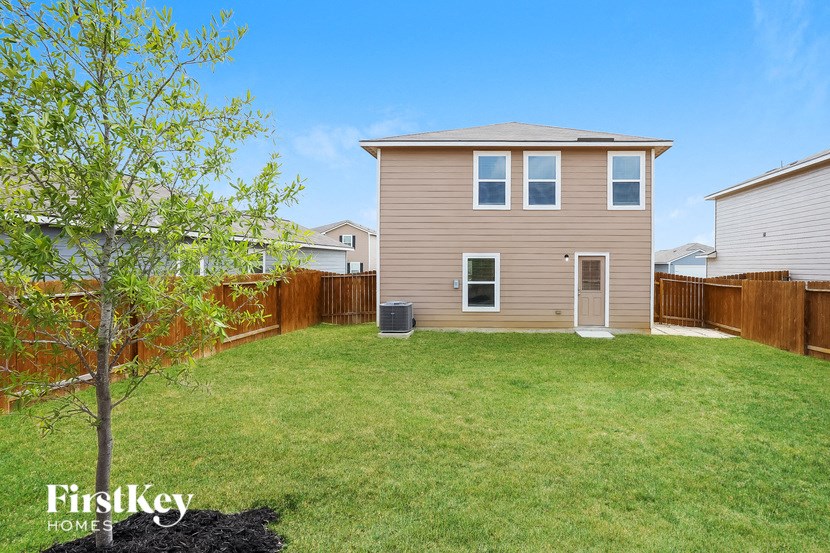 a backyard with a house and a tree