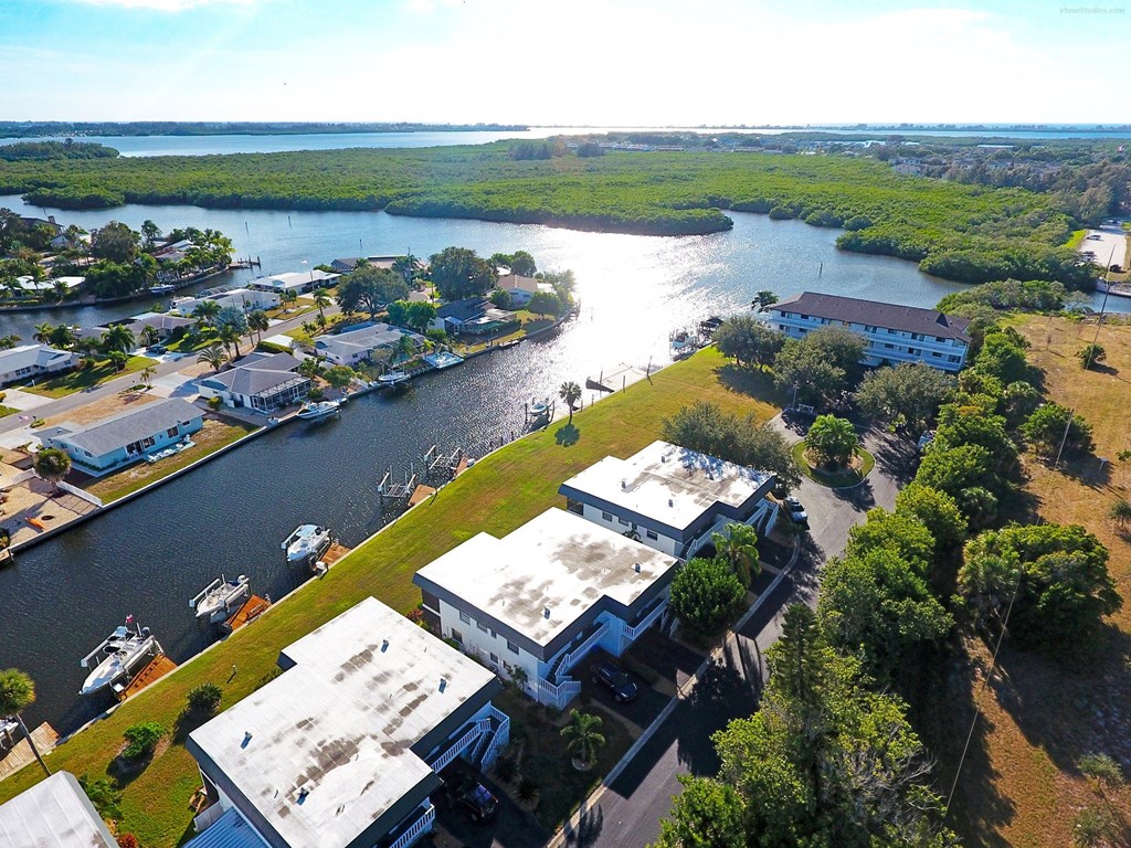 an aerial view of a neighborhood with a body of water