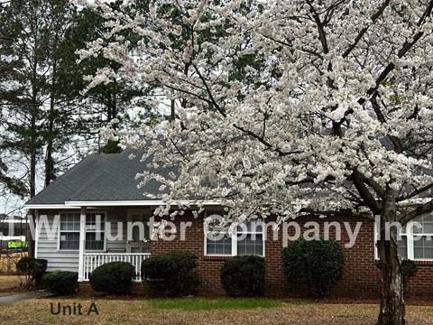 A tree with white blossoms is in front of a brick building with a sign that says "TW Hunter Company Inc."