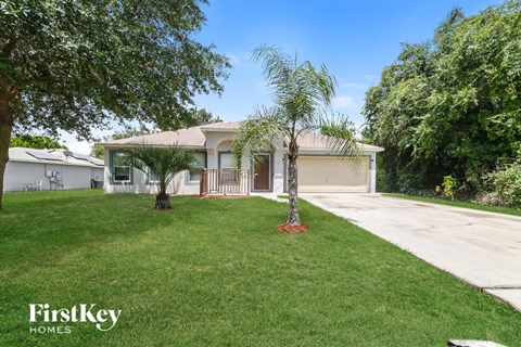 A well-maintained lawn in front of a house with a palm tree.