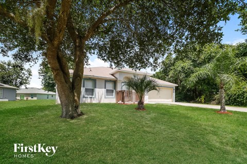 A tree stands in a grassy yard in front of a house.
