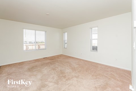 A room with a carpeted floor and two windows.