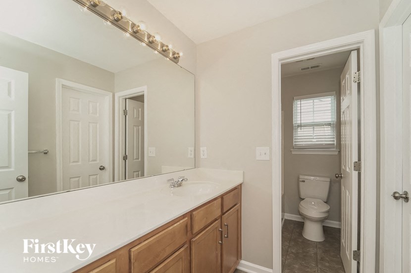 a bathroom with a sink and a toilet and a mirror