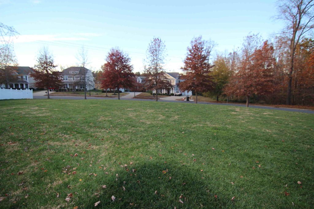 a large lawn with houses in the background