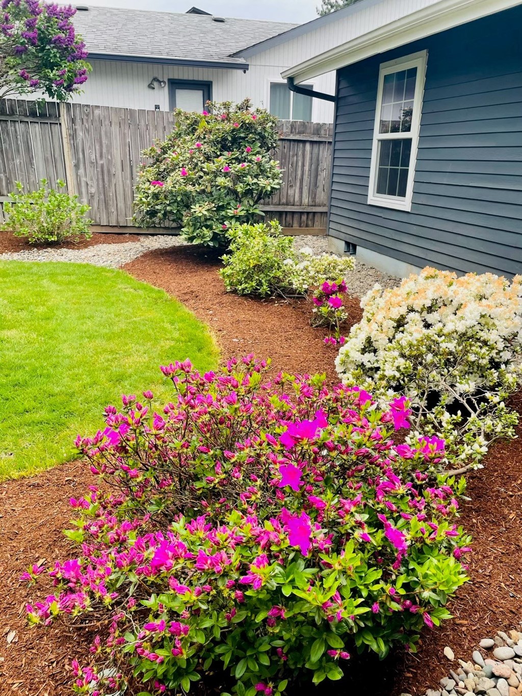 a front yard garden with flowers and a blue house