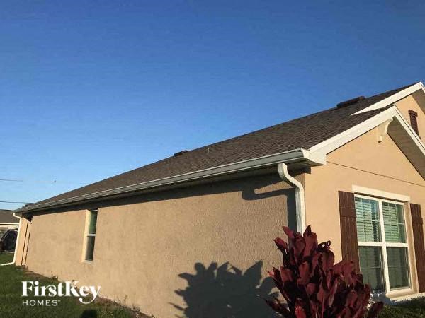 a house with a red plant in front of it
