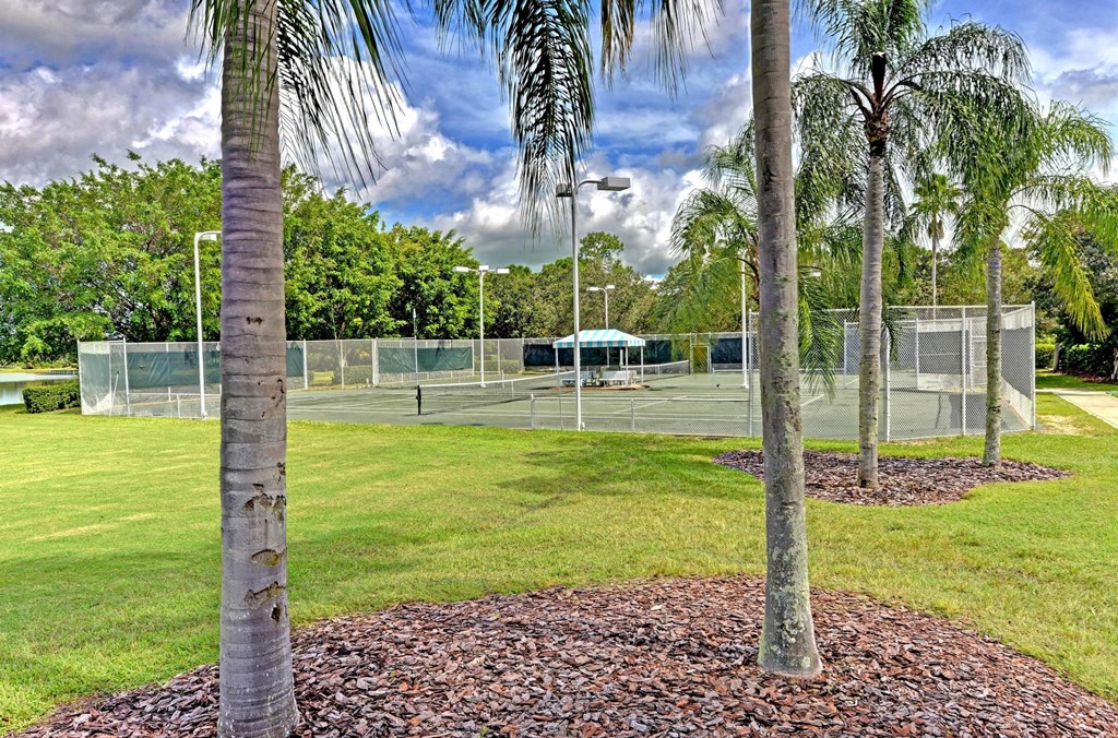 a tennis court in a park with palm trees
