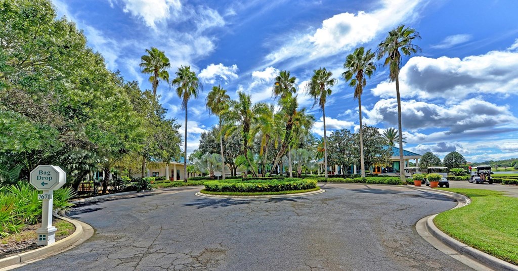 a roundabout with palm trees at the end of a street