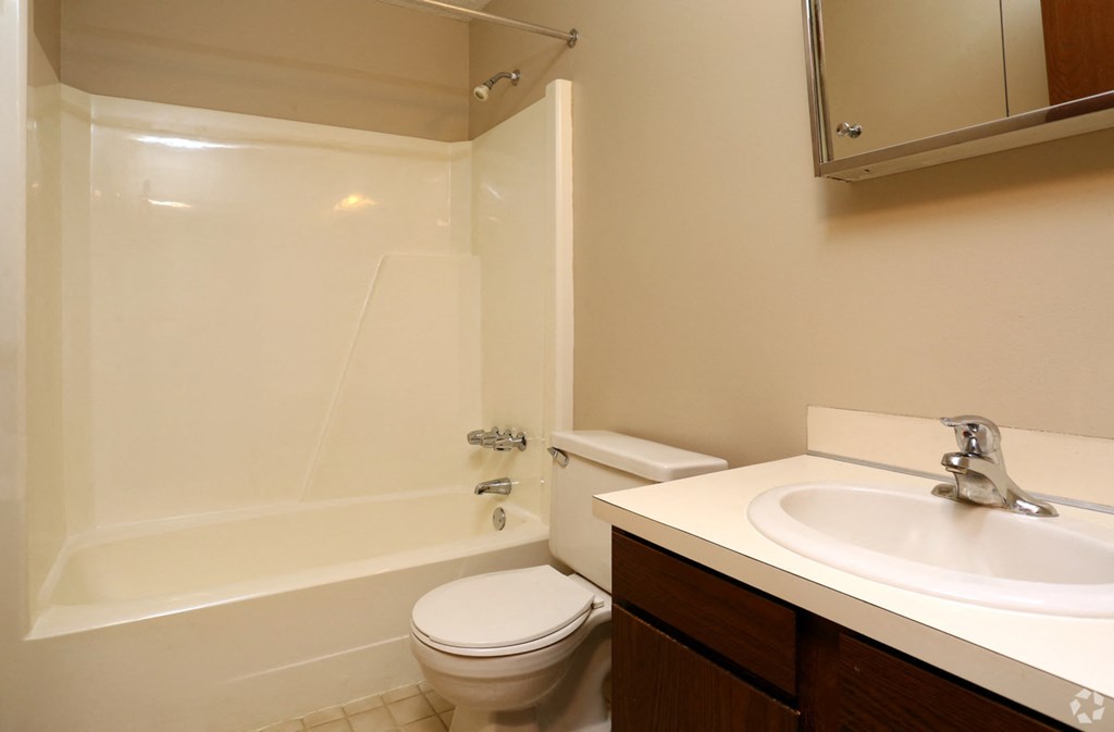 a bathroom with a sink toilet and a shower