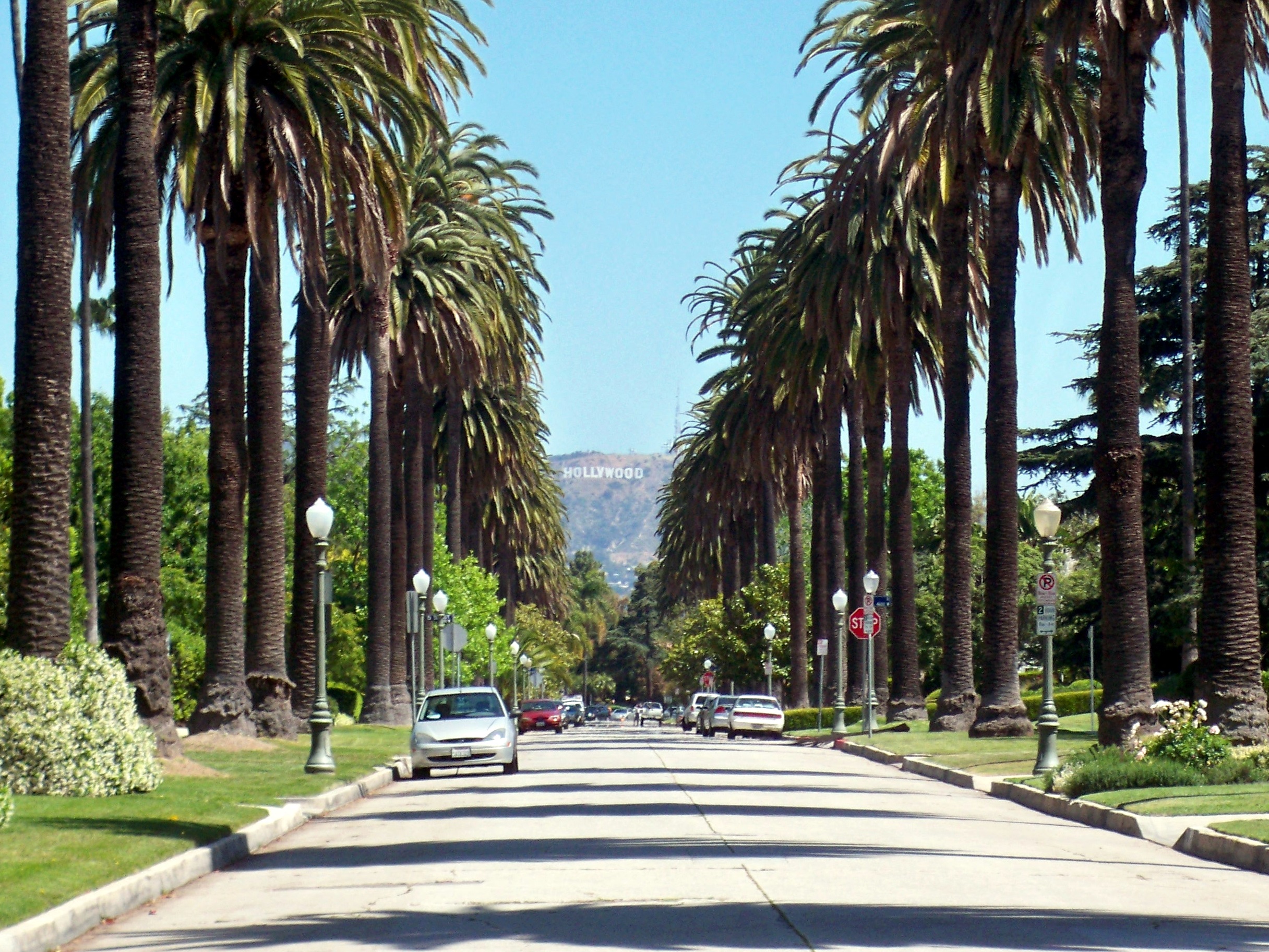 a city street with palm trees and a mountain in the background
