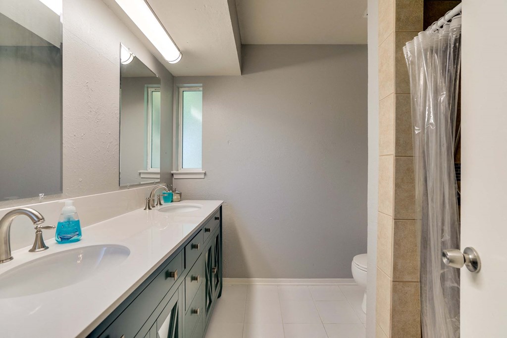a bathroom with a sink and a shower and a mirror