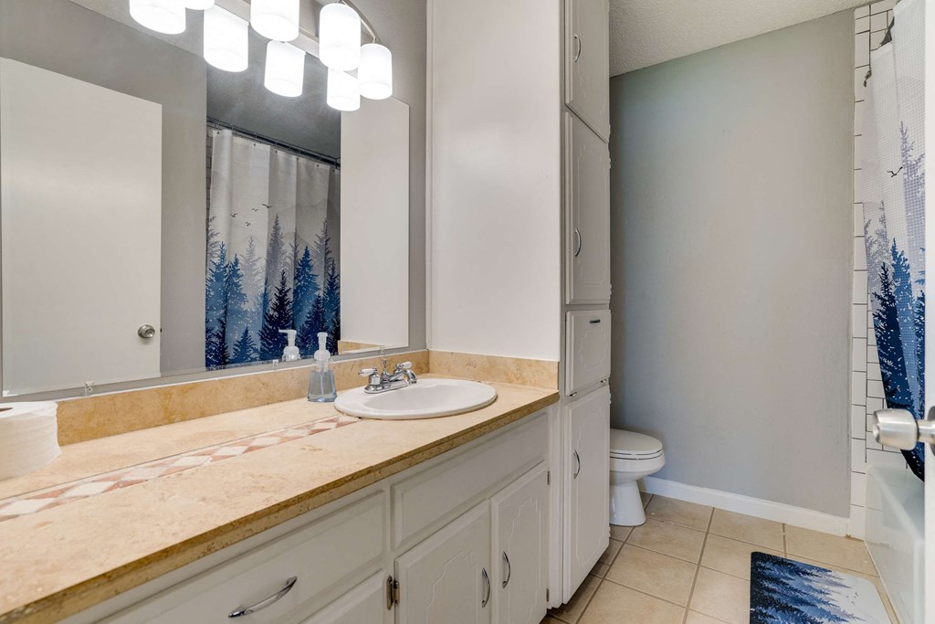 a bathroom with a sink and a mirror and a toilet