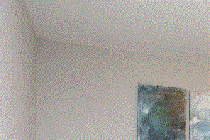 Celebration At Sandy Springs Apartments 7000 Roswell Rd