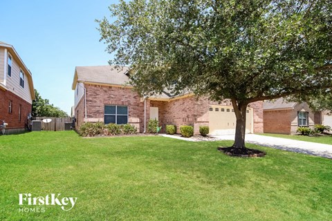 a tree in a yard in front of a brick house