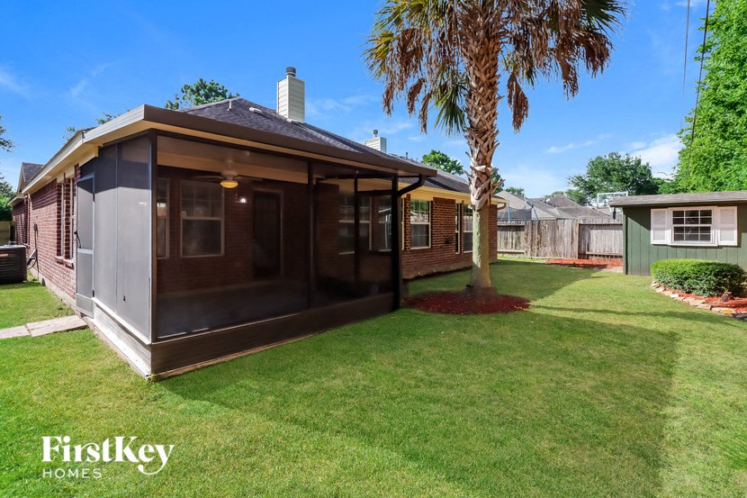 a small backyard with a covered patio and a palm tree