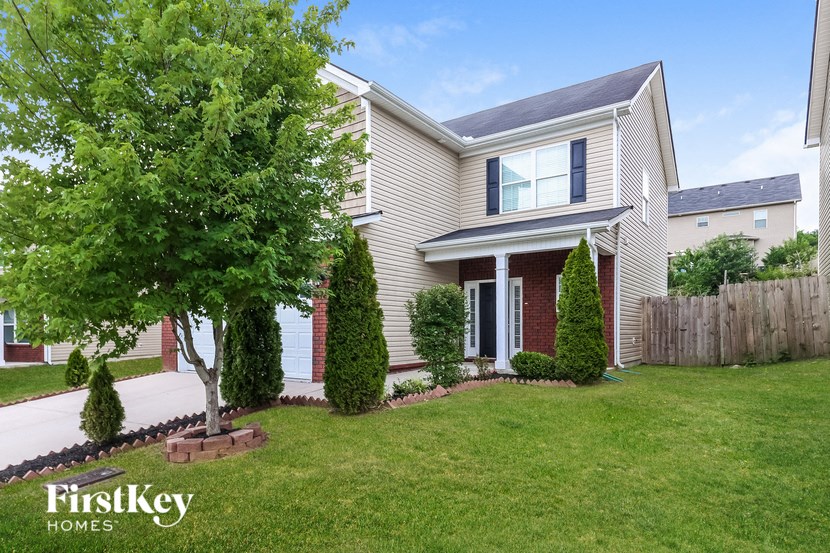 a house with a lawn and a tree in front of it