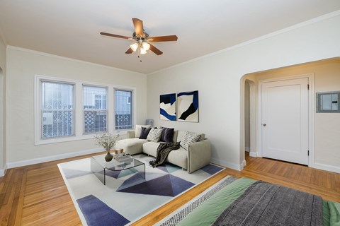 A living room with a white couch and a blue rug.