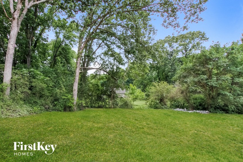 A lush green field with trees and a blue sky in the background.