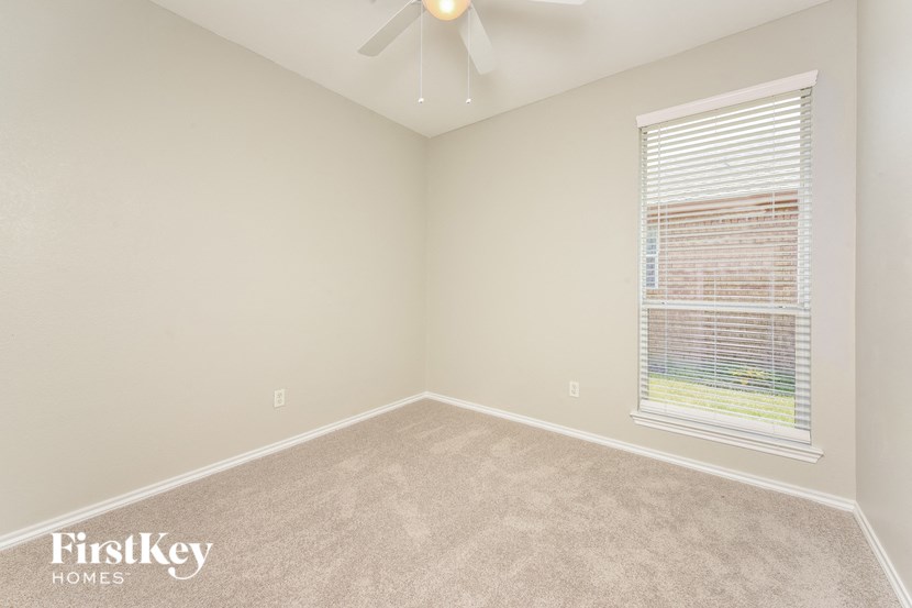 A room with a carpeted floor, a ceiling fan, and a window with blinds.