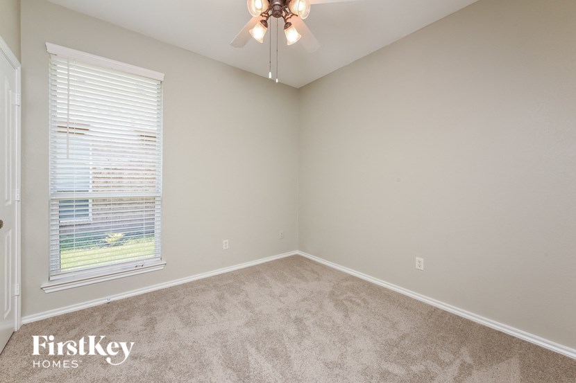 A room with a carpeted floor and a ceiling fan.