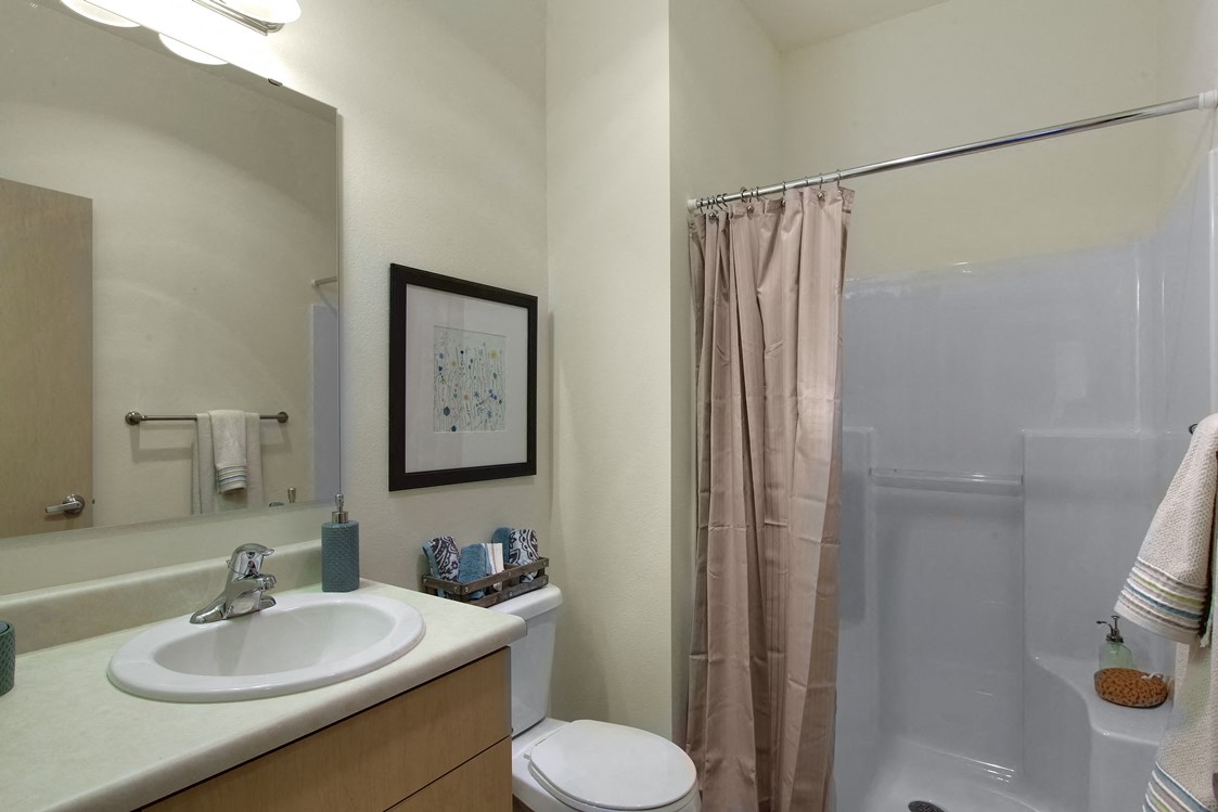 a bathroom with a shower sink and toilet and a mirror