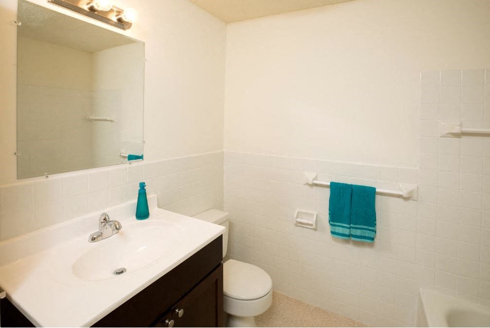 a bathroom with a sink toilet and a mirror