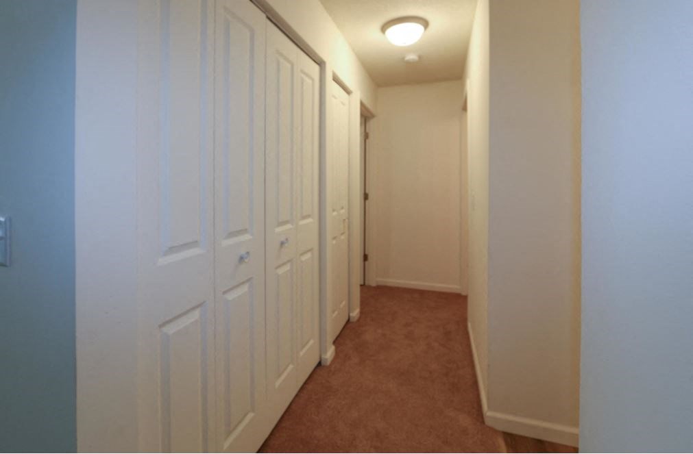 a hallway with white closets and a carpeted floor