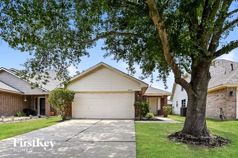 a house with a tree in the yard and a driveway