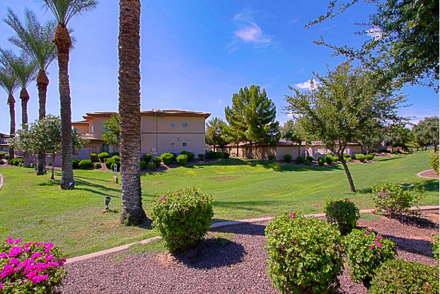 a garden with trees and bushes and a lawn