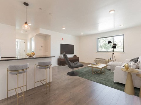a living room with a couch and a bar and a television