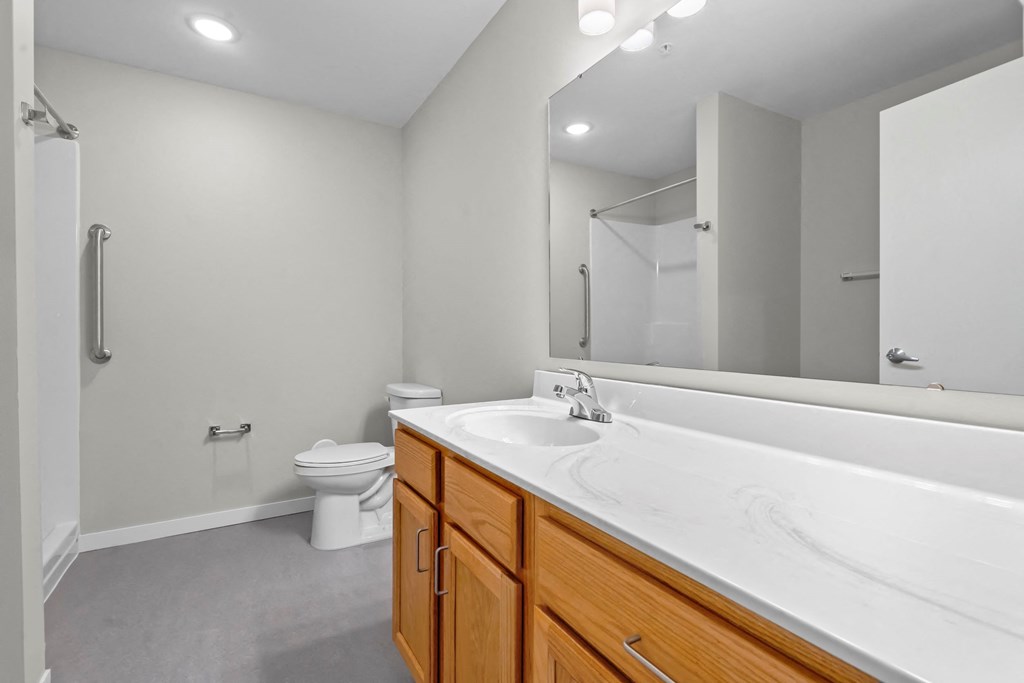 a bathroom with a sink and a toilet and a mirror