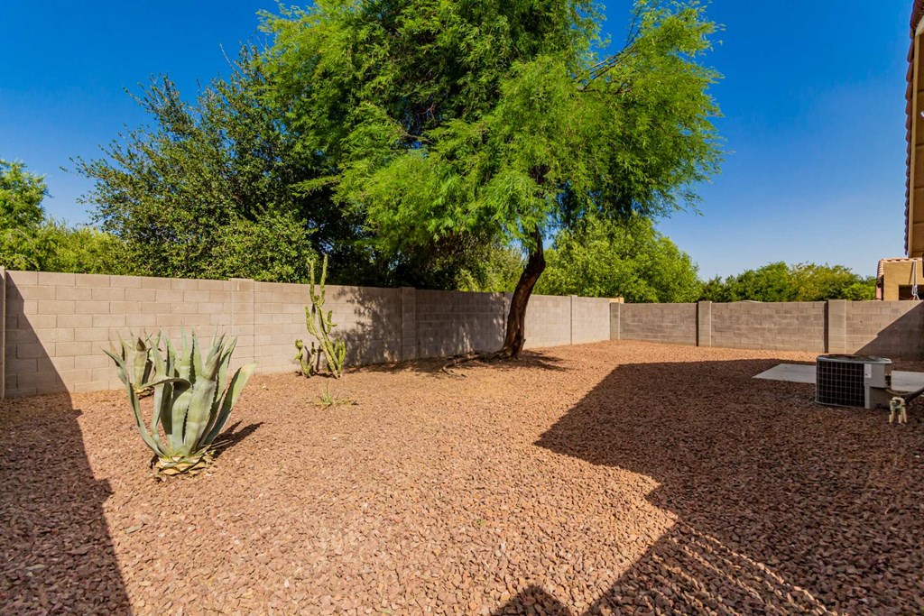 A backyard with a tree, a wall, and a small garden.