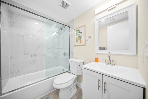 a bathroom with a shower toilet and sink and a mirror