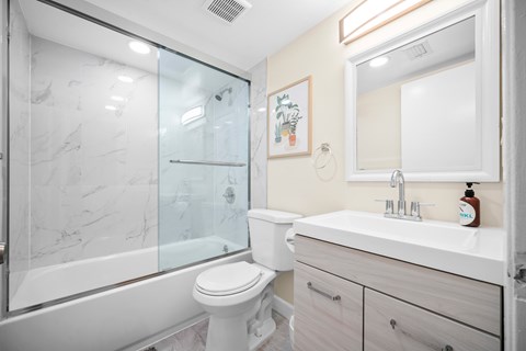a bathroom with a shower toilet and sink and a mirror