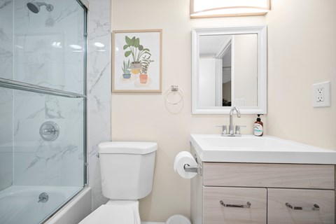 a bathroom with a toilet sink and shower and a mirror