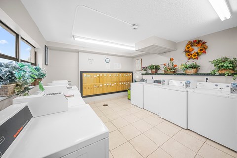 a laundry room with white washes and dryers and a window with plants