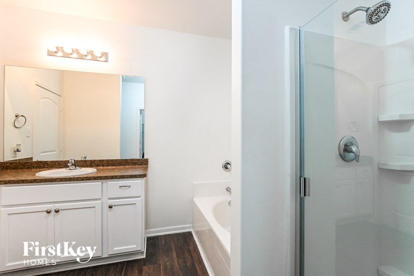 a bathroom with a sink and a shower and a mirror