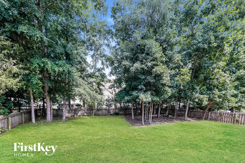 a backyard with trees and a fence