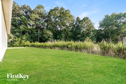 a large lawn with trees in the background